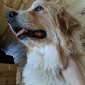 Meet your Posher, Joelle